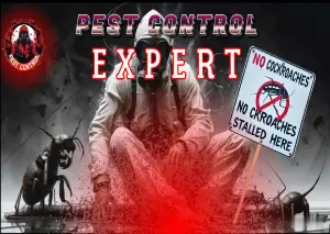 Иммиграция в Польшу